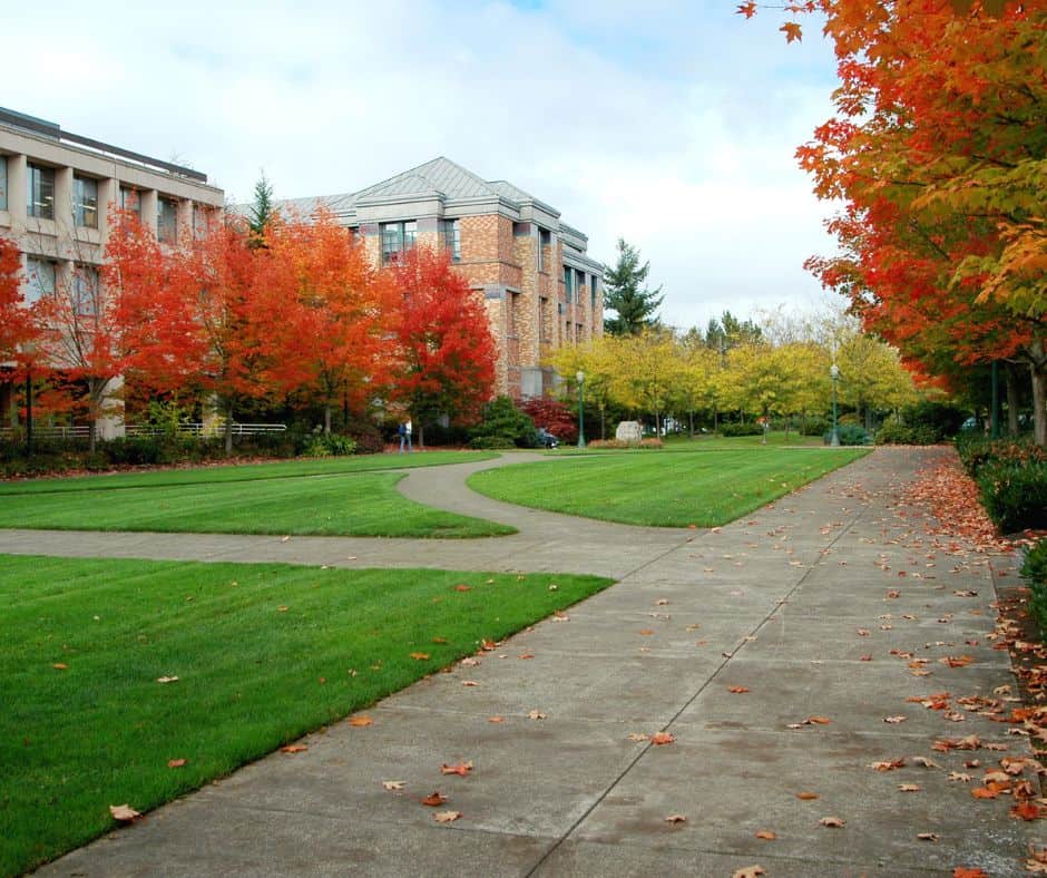 searching for colleges based on weather or campus life