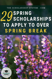 29 Spring Scholarships to Apply to Over Spring Break