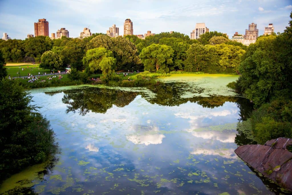 colleges in new york city