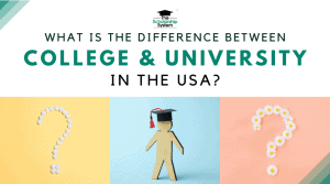 What’s the Difference Between College and University in the USA?