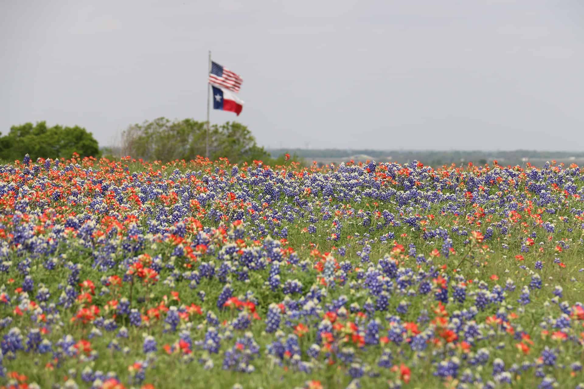 college in texas