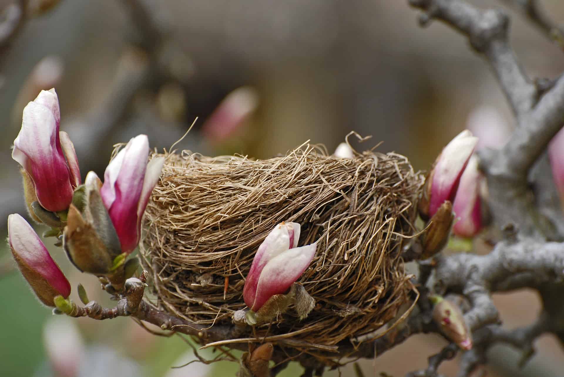 what is empty nest syndrome