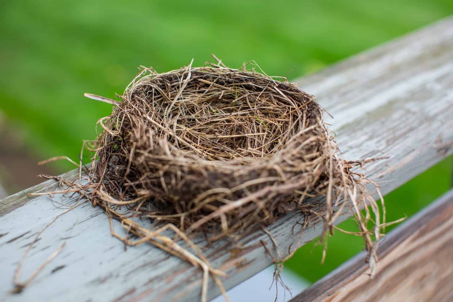 here-s-how-to-deal-with-empty-nest-syndrome-the-scholarship-system