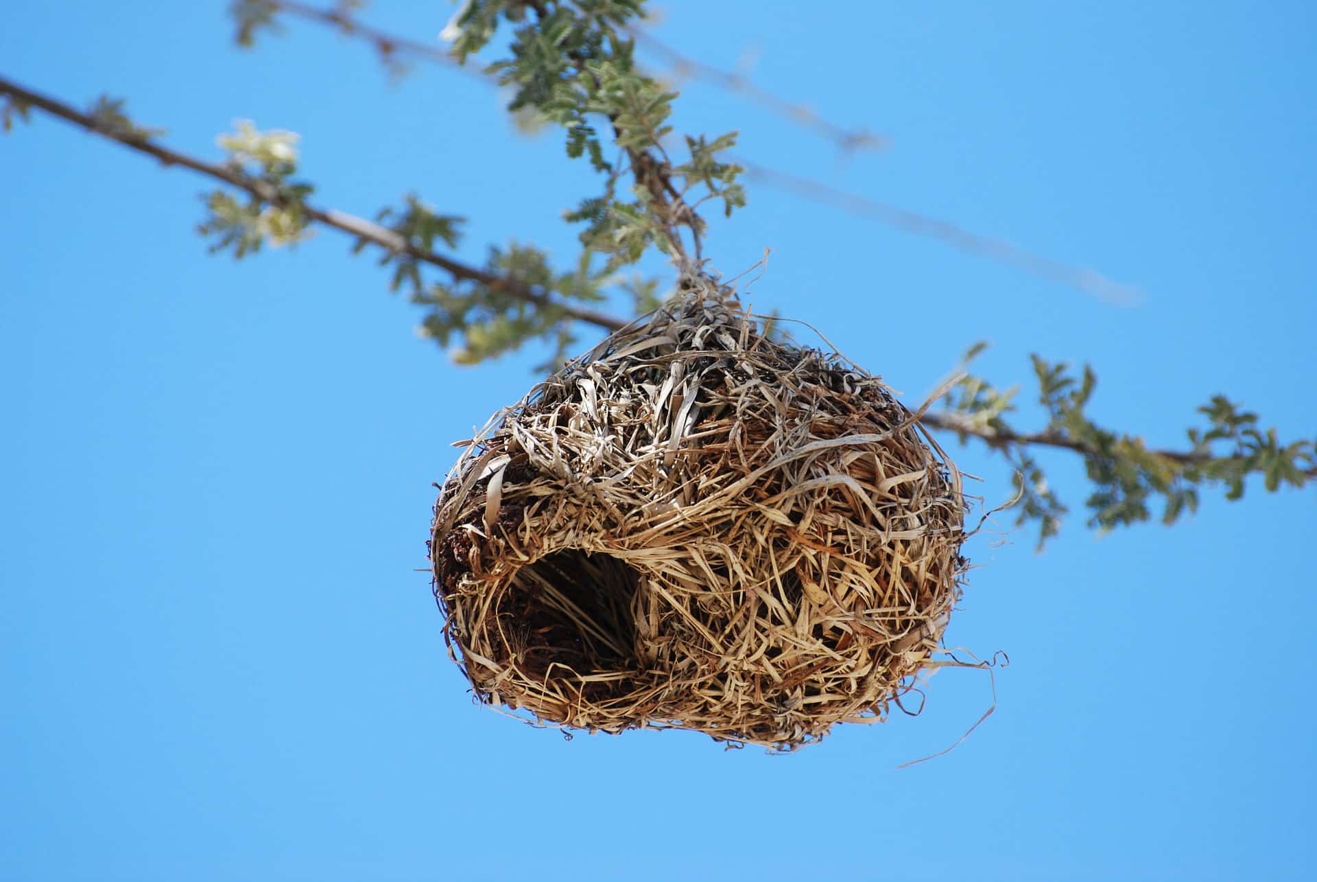 how to cope with empty nest