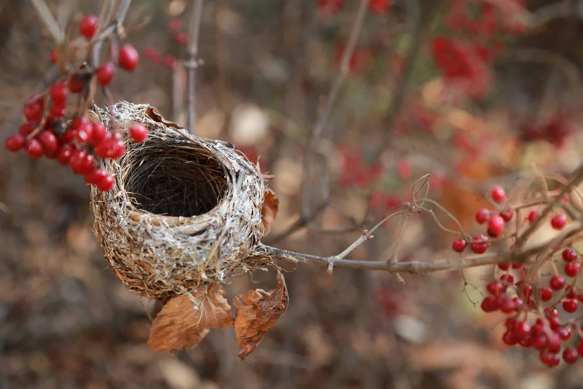 single parent empty nest