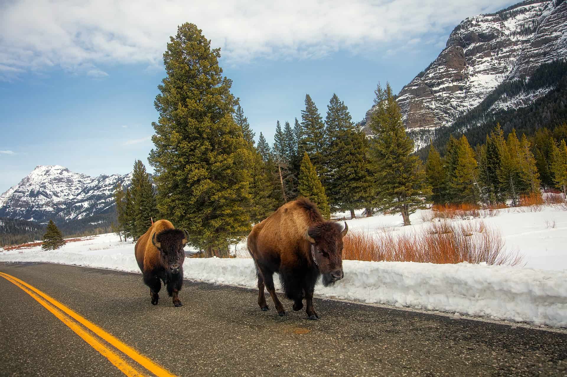 community colleges in wyoming