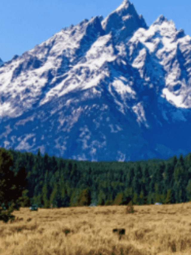 ATTENDING COLLEGE IN WYOMING WHAT YOU NEED TO KNOW COVER IMAGE