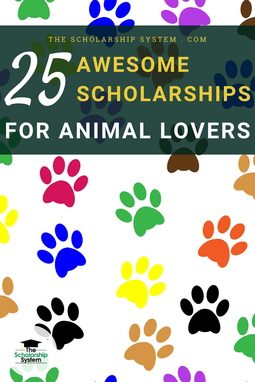 25 Awesome Scholarships for Animal Lovers The Scholarship System