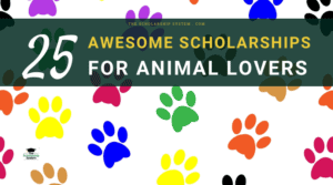 25 Awesome Scholarships for Animal Lovers