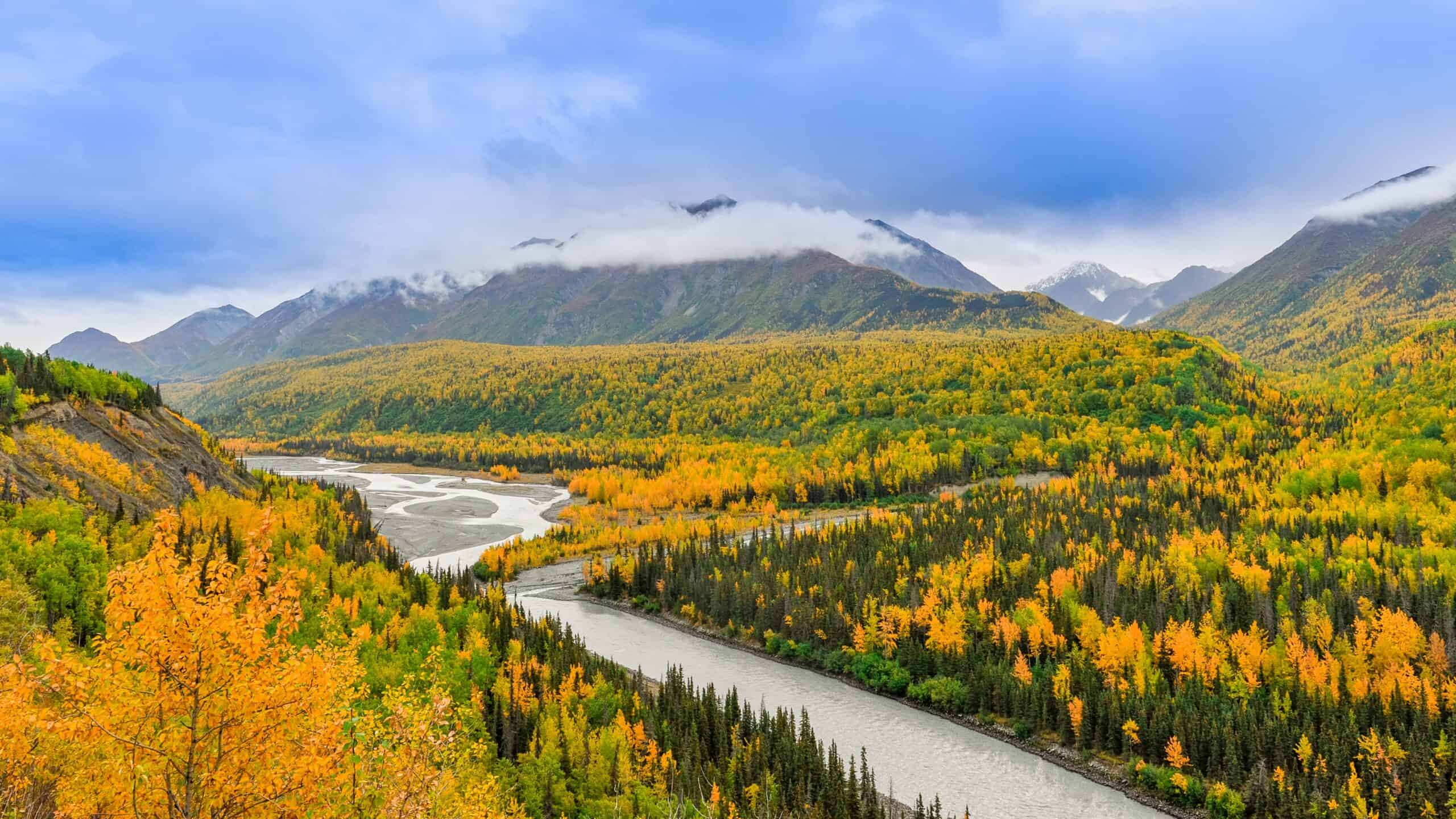 university in alaska