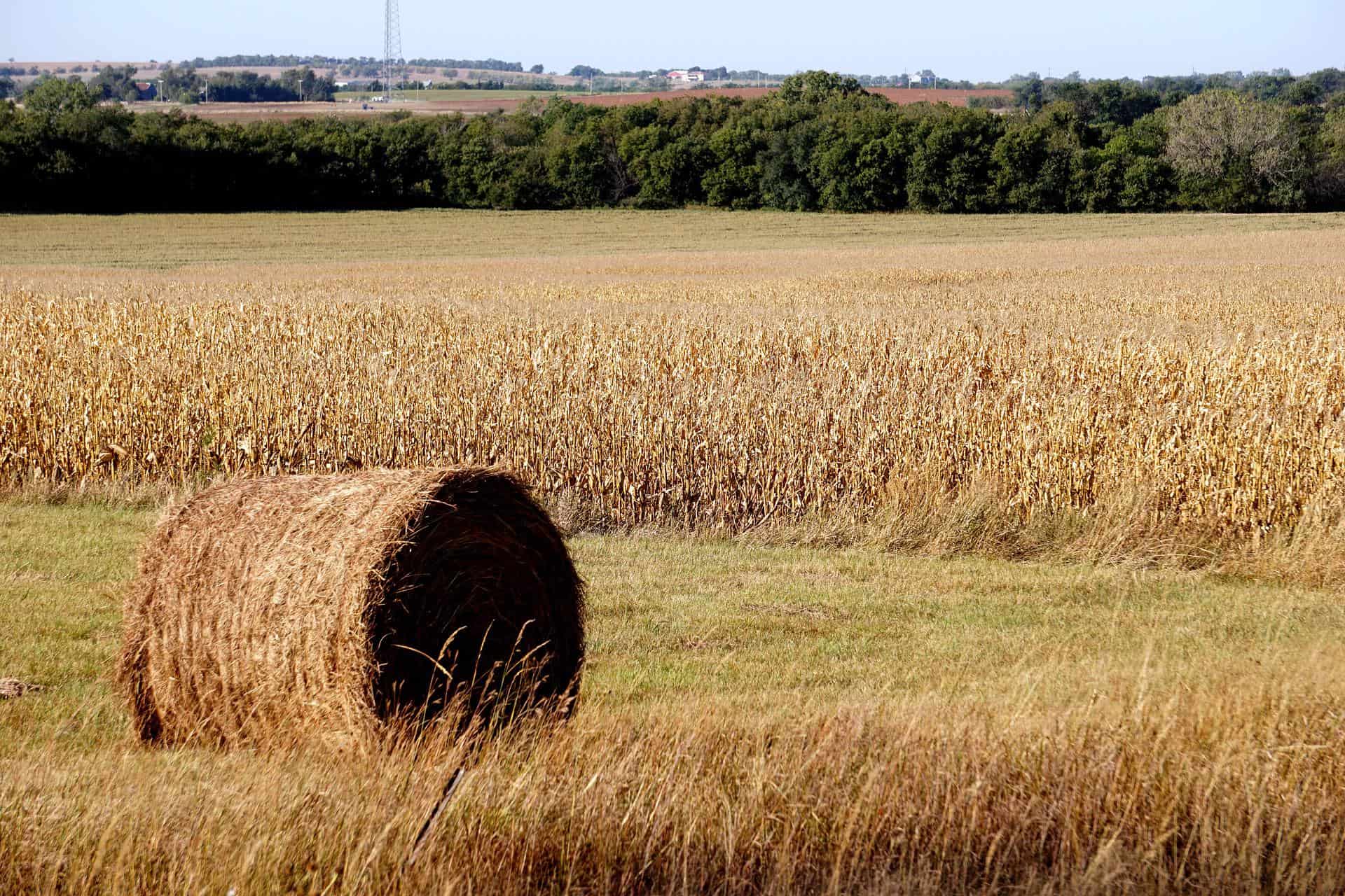 community colleges in kansas