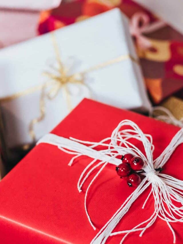 christmas gifts for students