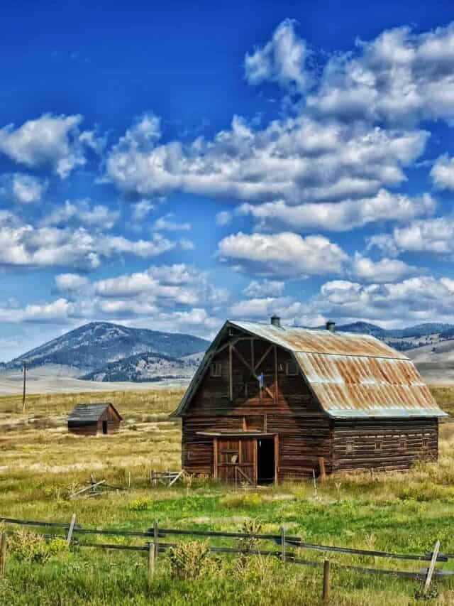 ATTENDING COLLEGE IN MONTANA