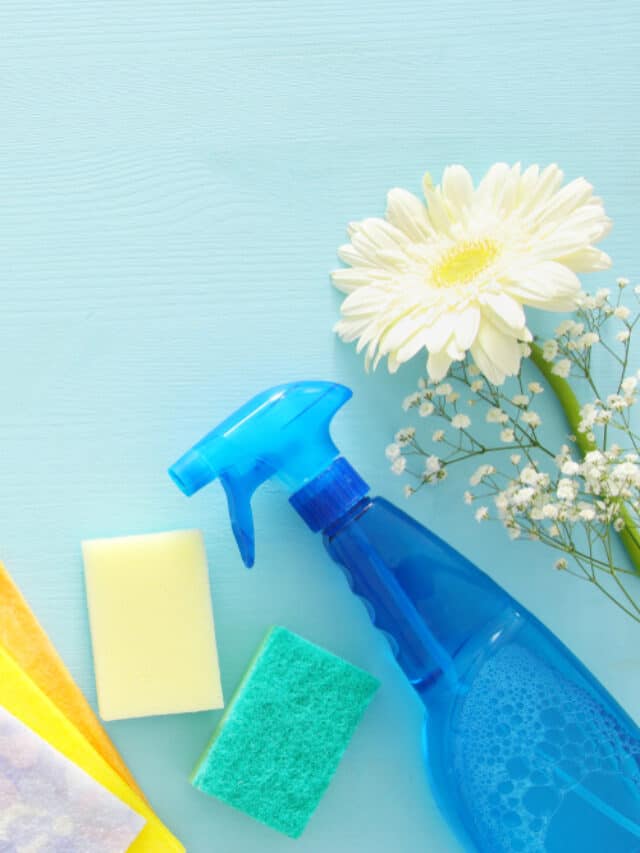 Spring Cleaning