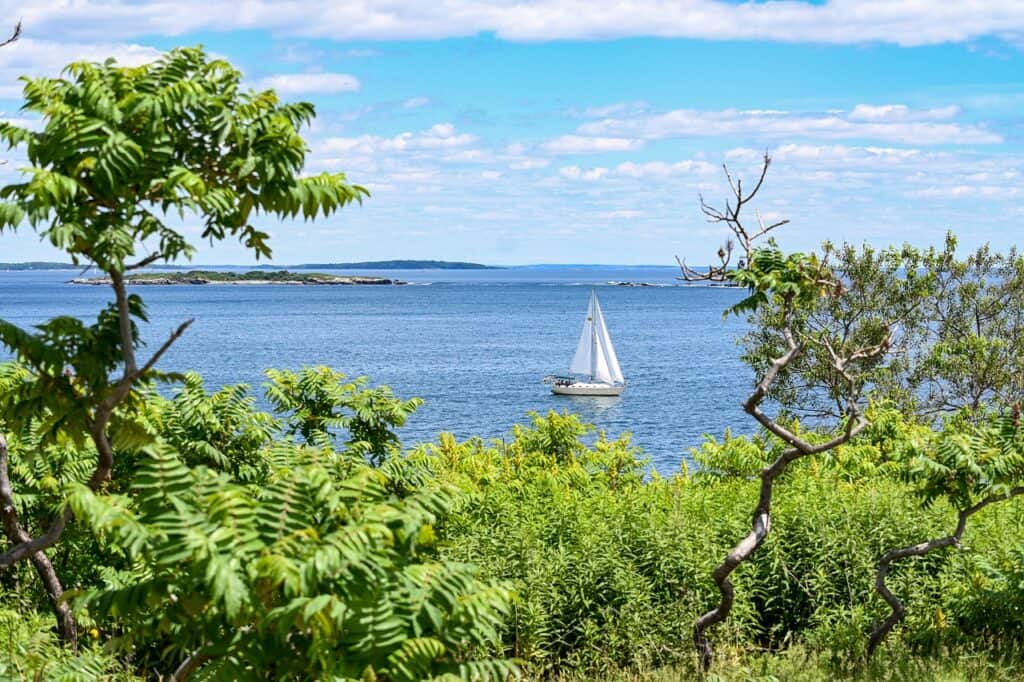 portland Maine colleges