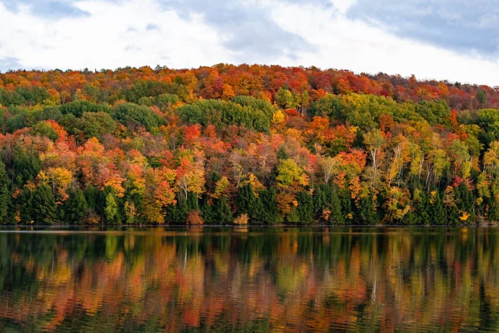 military college in vermont