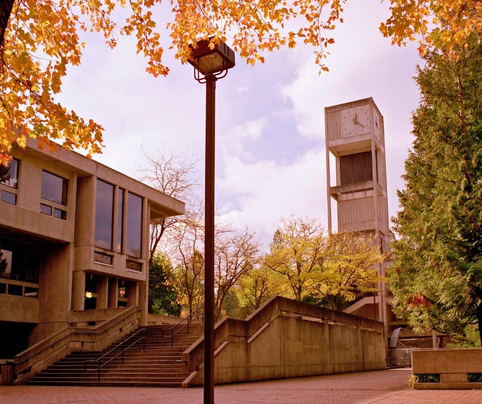 evergreen state college