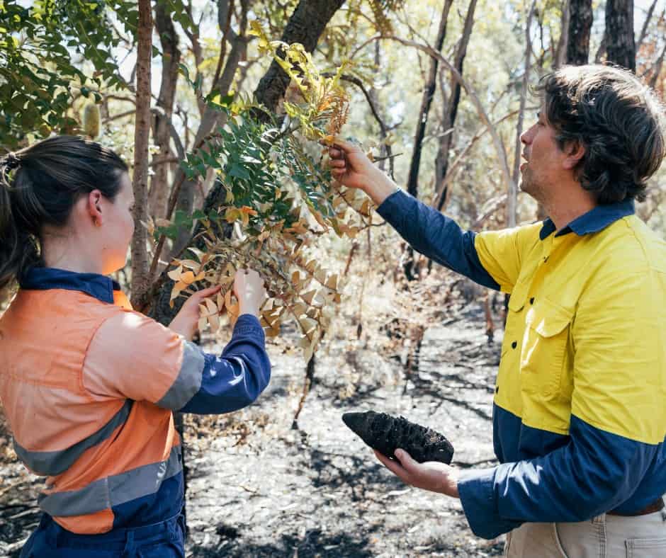 environmental science education