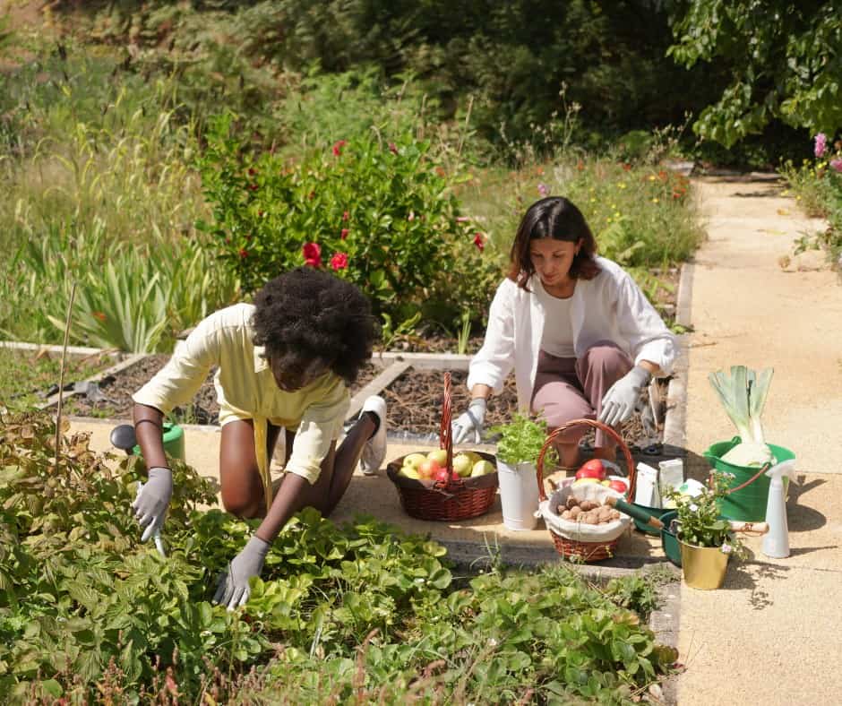 A group of young volunteers collaborates on an outdoor community project in an urban neighborhood, showcasing teamwork and commitment to community service